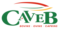CAVEB